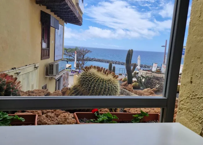 Americas And Nightlife * 플라야데라스아메리카스