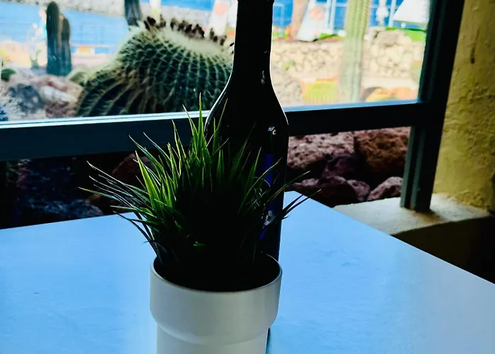 Americas And Nightlife