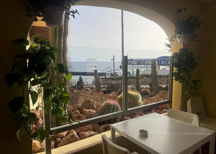 Americas And Nightlife