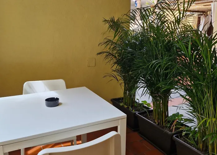 Americas And Nightlife