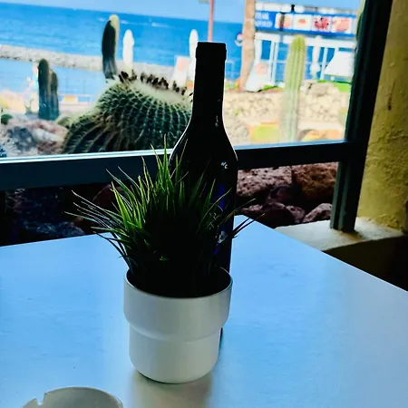 Americas And Nightlife